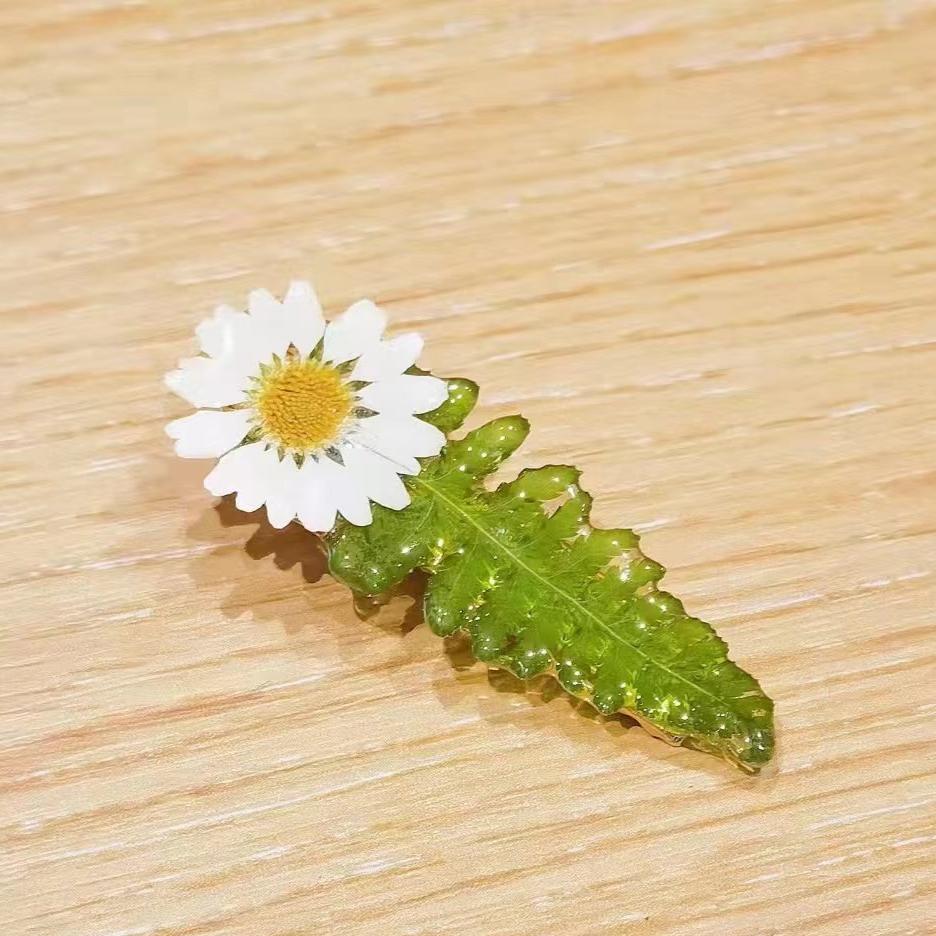 Real daisy hair clip