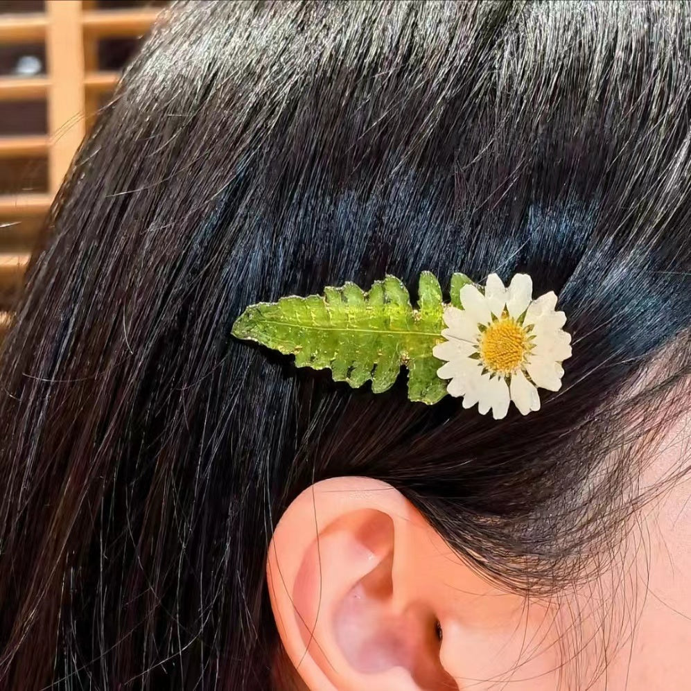 Real daisy hair clip