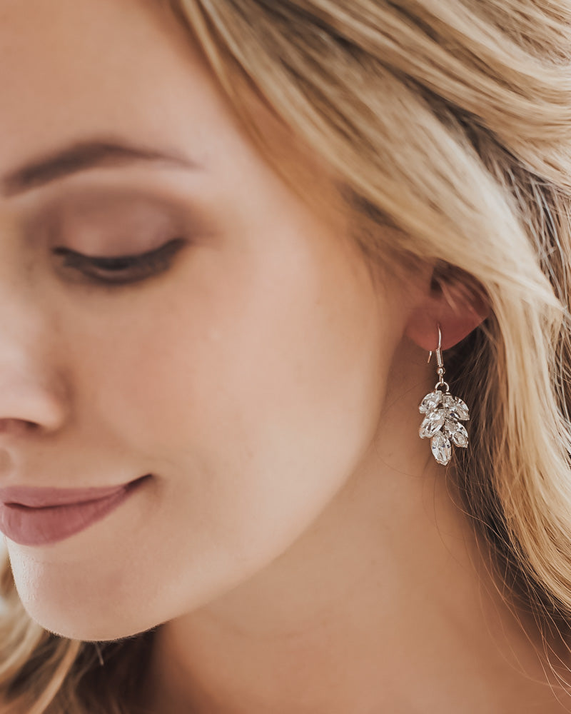 Dani Opal & Crystal Earrings